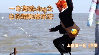 Hinata Shoyo's stock vlog of running with seagulls on the coastline! It's like he really turned into