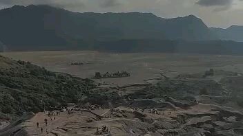 1.0
