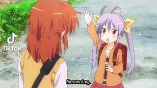 Nyanpasu real vid