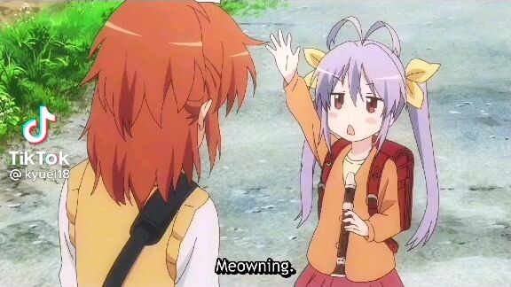 Nyanpasu real vid