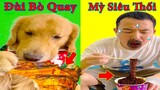 Thú Cưng TV | Tứ Mao Đại Náo #22 | Chó Golden Gâu Đần thông minh vui nhộn | Pets cute smart dog
