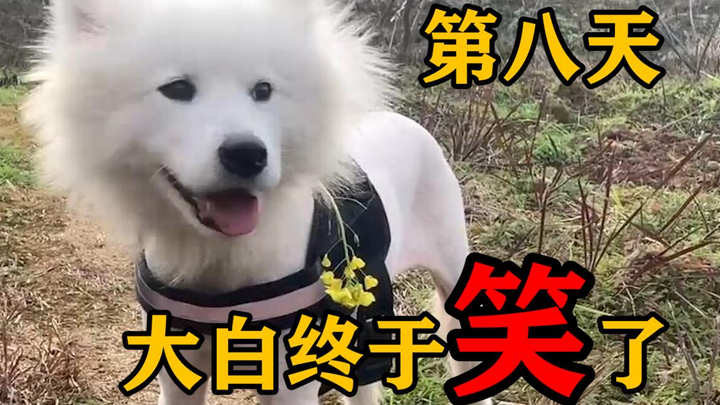 في اليوم الثامن منذ تبنّي داباي، ابتسم أخيرًا!