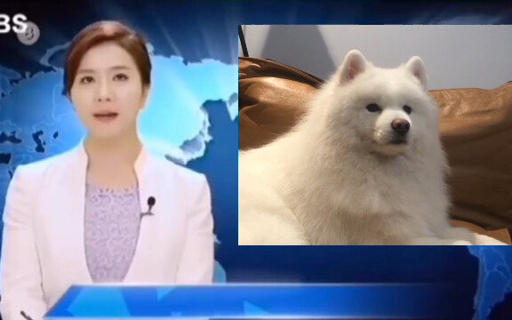 Giờ thì thực sự nổi tiếng rồi, lên truyền hình rồi!