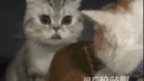 Chỉ đến khi những chuyện bẩn thỉu bị phanh phui, mọi người mới hiểu ra rằng họ chỉ đang bảo vệ bản t