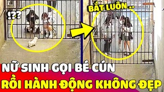 Bức xúc 3 em NỮ SINH vào nhà người lạ nựng bé cún rồi BẾ ĐI LUÔN khiến dân tình ngán ngẩm 😢 Gâu Đần