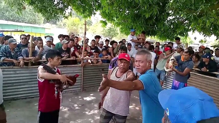 tsamba
