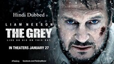 The Grey 2023 Full Movie Hindi Dubbed | The Grey 2011 Movie Dual Audio Watch