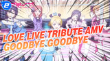 Goodbye, Goodbye! Tribute AMV | Love Live!_2