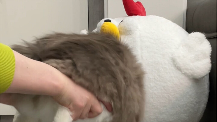 หลี่โถลั่ว คือคุณน้าคุณอาหน้าจอที่ให้ฉันยัดเข้าไปนั่นแหละ