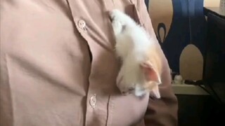 abis ngeronda mungkin cape😆