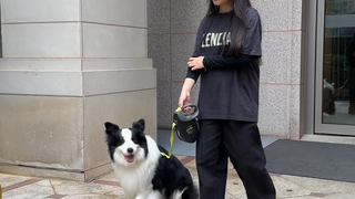 Berapa banyak ciri yang kamu miliki sebagai perempuan yang memelihara anjing?