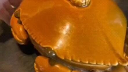 “Product appearance is for reference only”