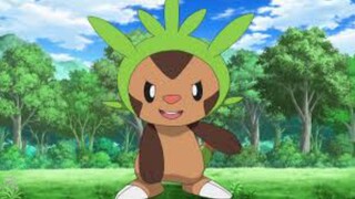 Pokemon Amie Gameplay (Chespin)