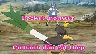 Pocket monster 51 - Củ hành đấu cốt thép