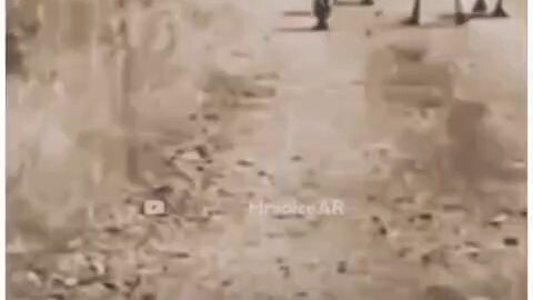 dogesh bhai...