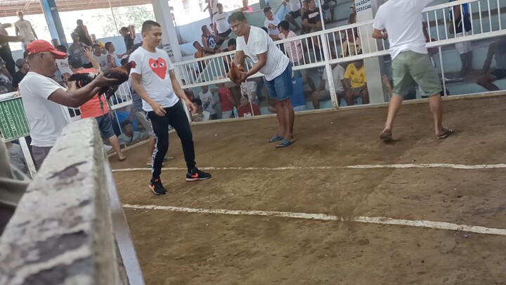 tinola line Naka chamba