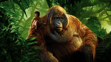 The Jungle Book (2016) . The link in description