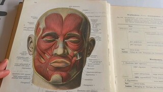 欣赏下110年前的德国解剖学教科书