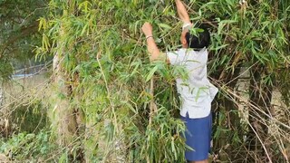 Đi Soi Ếch Đêm Và Cái Kết Khô Chuột Một Nắng Nướng Than Hồng Lai Rai Buổi Chiều