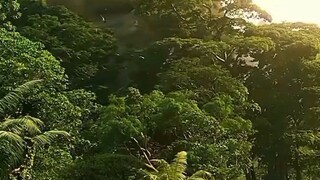 KONG VS GODZILLA