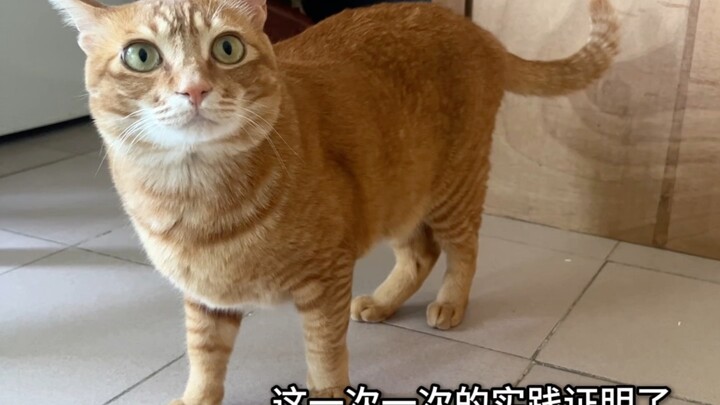 Juzuo's Amnesia: Master Goes Out for a Day, Comes Back as a Stranger