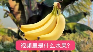 让朋友告诉你视频里是什么水果？