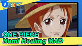 ONE PIECE【Healing AMV】Nami,you are my partner! No one is allowed to make my mariner cry!_1