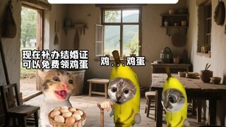 你就说结婚率是不是上去了！