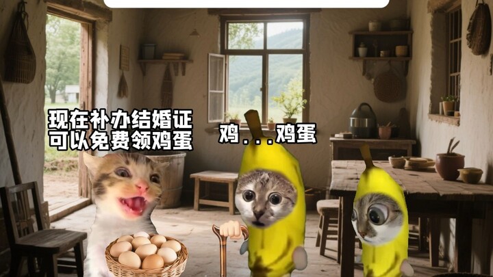 Hãy cho tôi biết tỷ lệ kết hôn có tăng lên không!