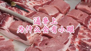 لماذا توجد عيون صغيرة على العمود الفقري؟