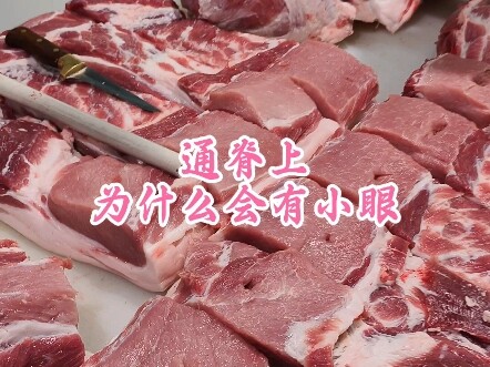 لماذا توجد عيون صغيرة على العمود الفقري؟