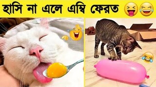 পশু পাখির মজার কান্ড ক্যামেরায় ধরা পড়া | Funny Animal Videos 2023 😂 - Funniest Dogs And Cats Video