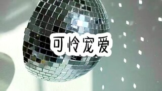 可怜宠爱