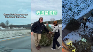 当我们在路上看到了一棵“天选”圣诞树🤣此时一位叫Jeff的人轻轻碎了