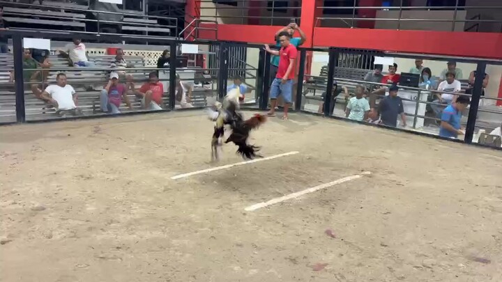 JPR GF BOSTON SWEATER WIN