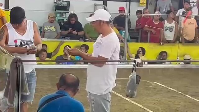 henne  ulutan