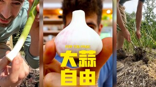 你知道你可以一辈子不用买大蒜吗‼️