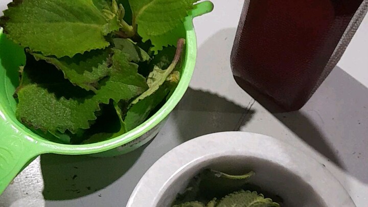 sambong honey with kalamansi.para sa ubo