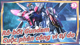[Rô-bốt Gundam]  Gundam chiến vì tự do| Youtuber Nhật kiểm tra [Video Gundam của Kasamatsu]_3