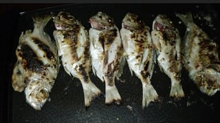 How to Grill Fresh Fish in Electric Daewoo
