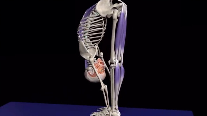 [Dance Anatomy] Learn the principles, and you can do this move too!