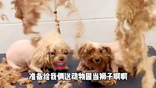 给我旁边的哥们都整自闭了