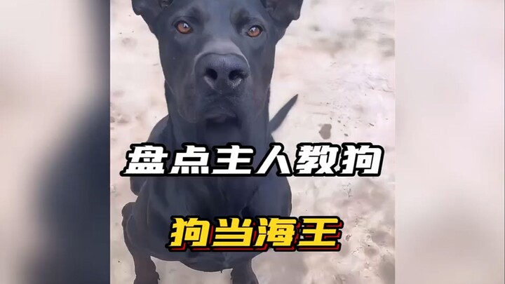 ⚡ انتهى الأمر، تبخرت حسنات اليوم من الضحك مرة أخرى ⚡ ❶❶❹