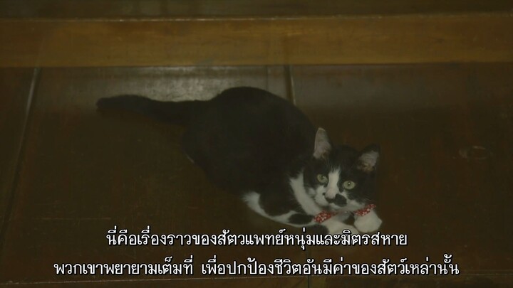 โบคุโตะชิปโปะตอน3