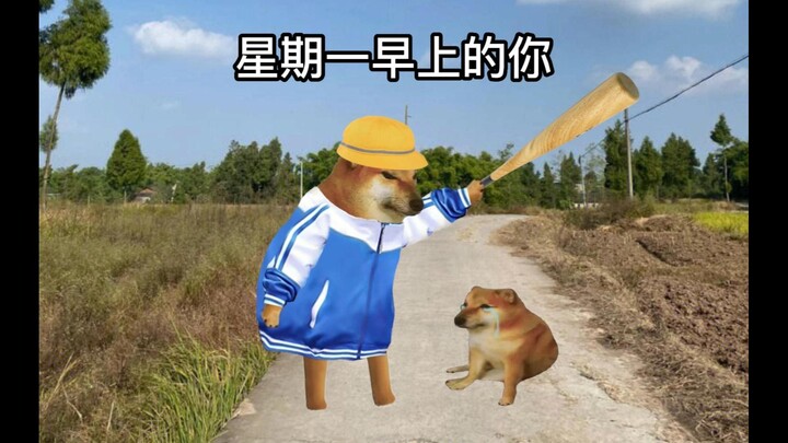 当你星期一早上碰见狗