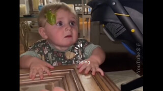 被动物惊吓到的人类幼崽们🤯