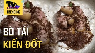 Bò tái kiến đốt - Món ăn không dành cho những người 'sợ côn trùng'