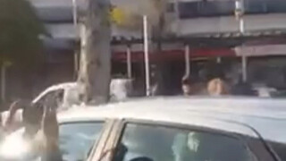 育   碧    车
