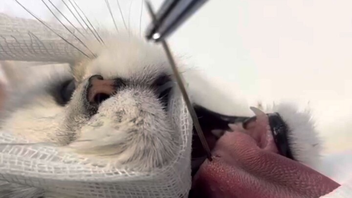 10月23日社会热点信息差