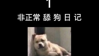 หมาเลียเจ้านายที่ป่วย